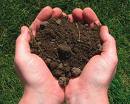 Treating Soil